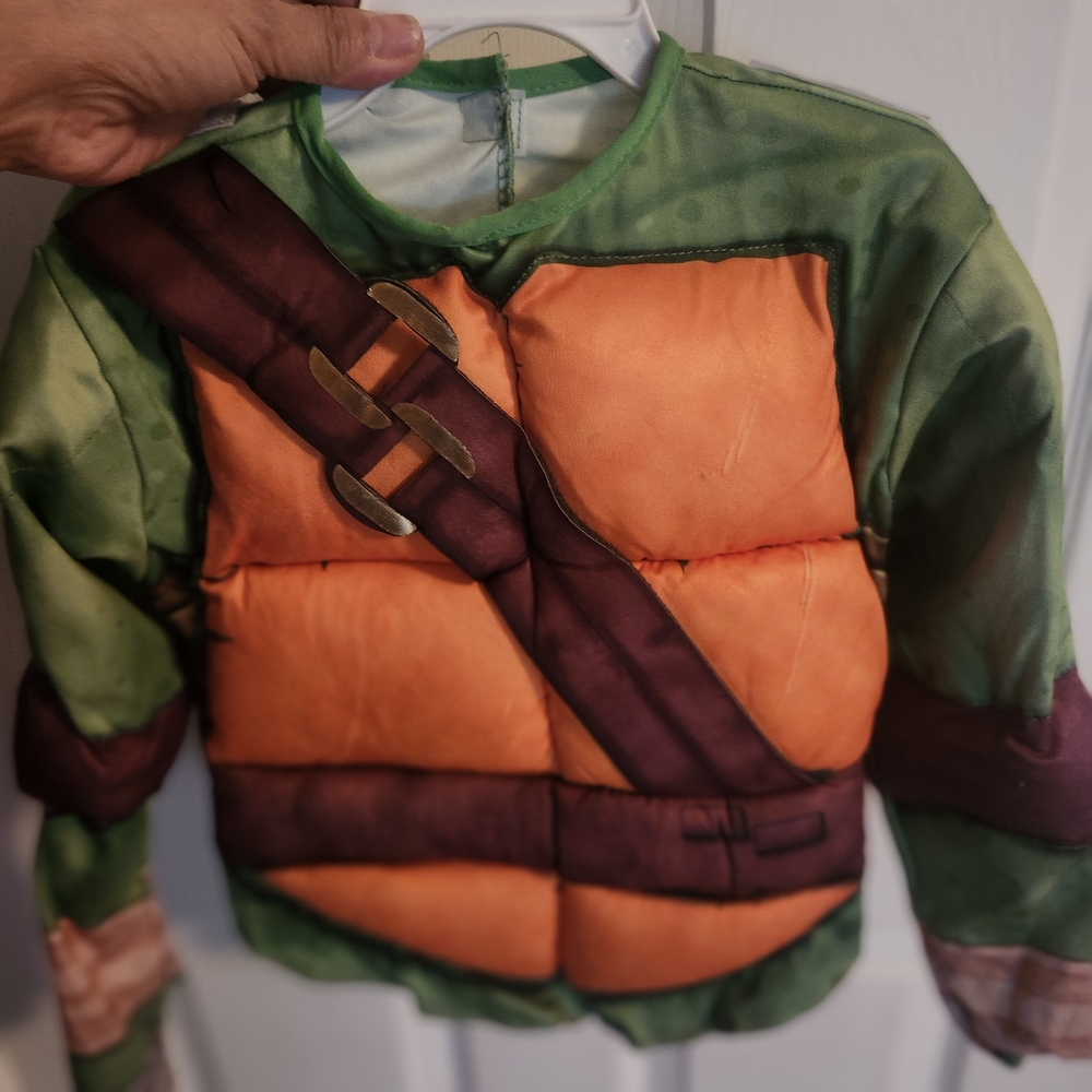 Nickelodeon Ninja Turtle Costume - Green and Orange (2 Costumes)